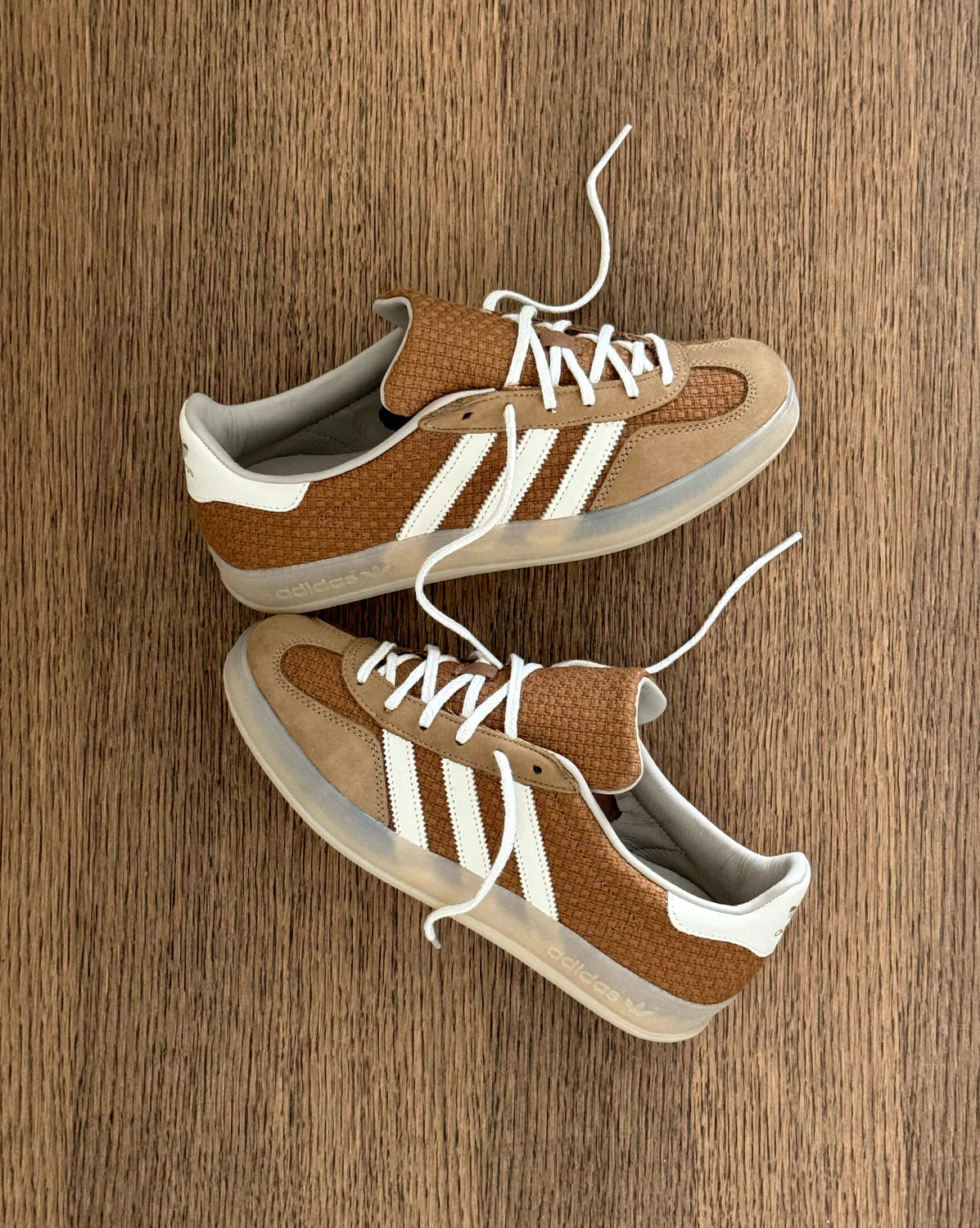 Gazelle Indoor