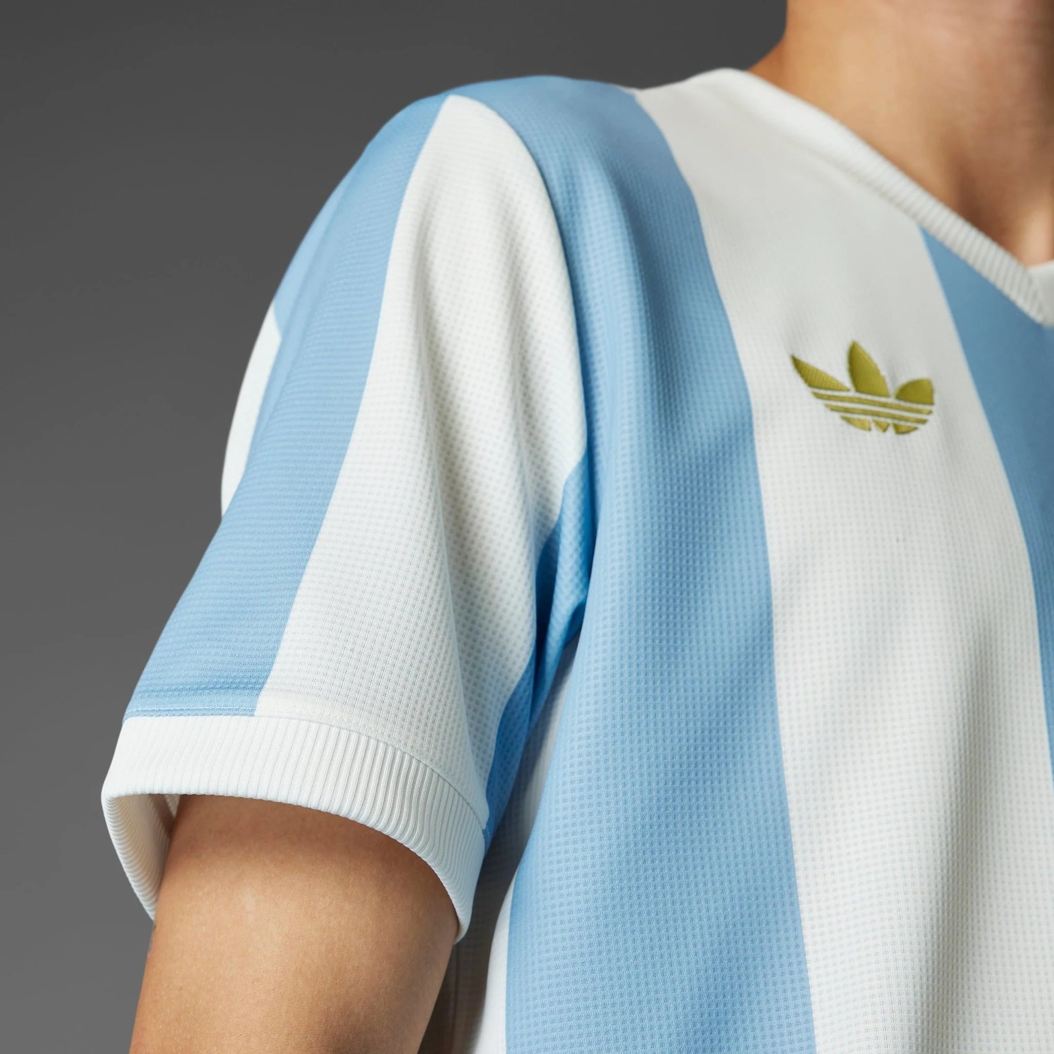 adidas Argentina Anniversary Jersey 24 25 Sky White