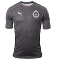PUMA Chivas Goalkeeper Home Jersey 17 Gray