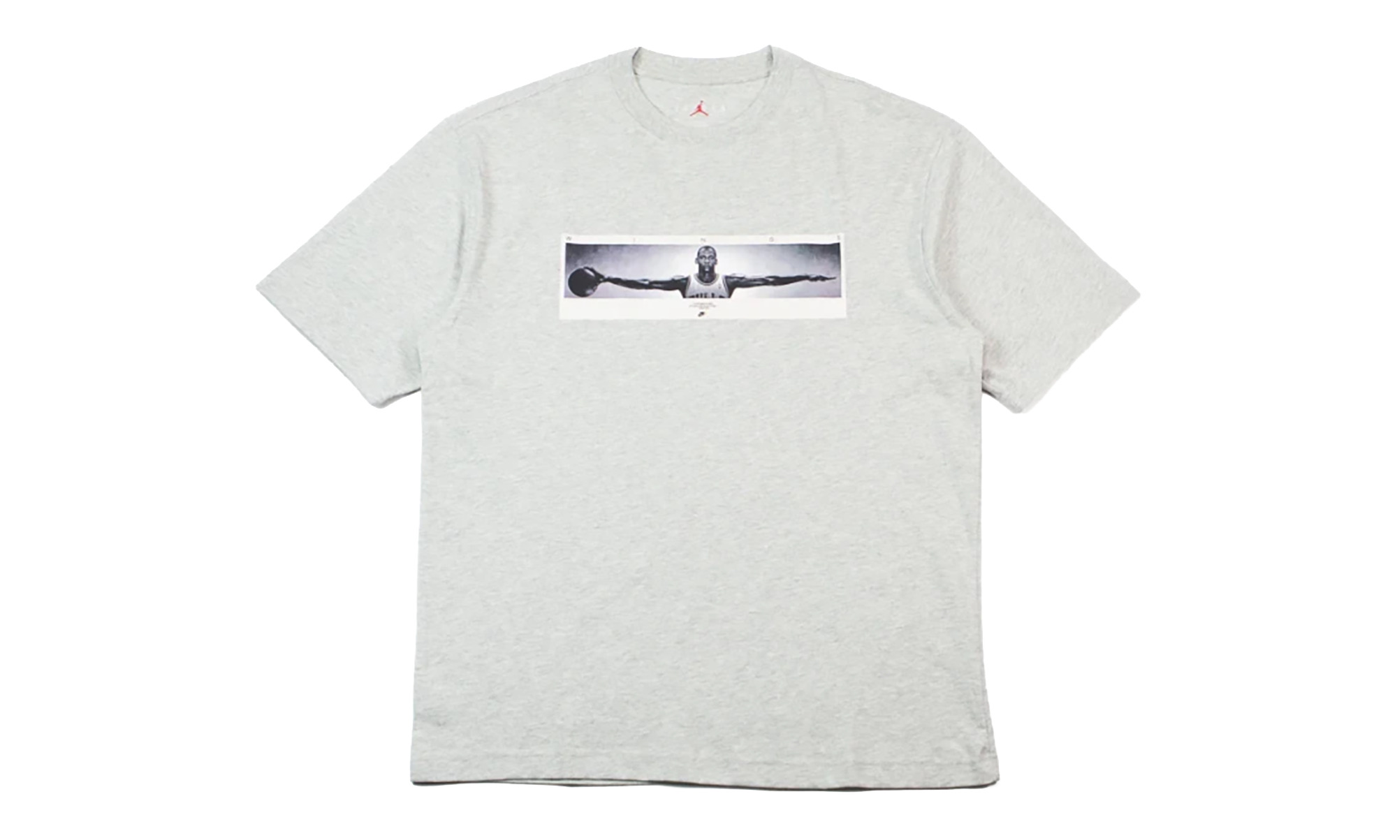 Wingspan Photo T-Shirt "Grey" IF5617 050