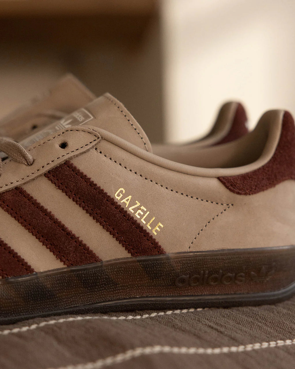 Gazelle Indoor