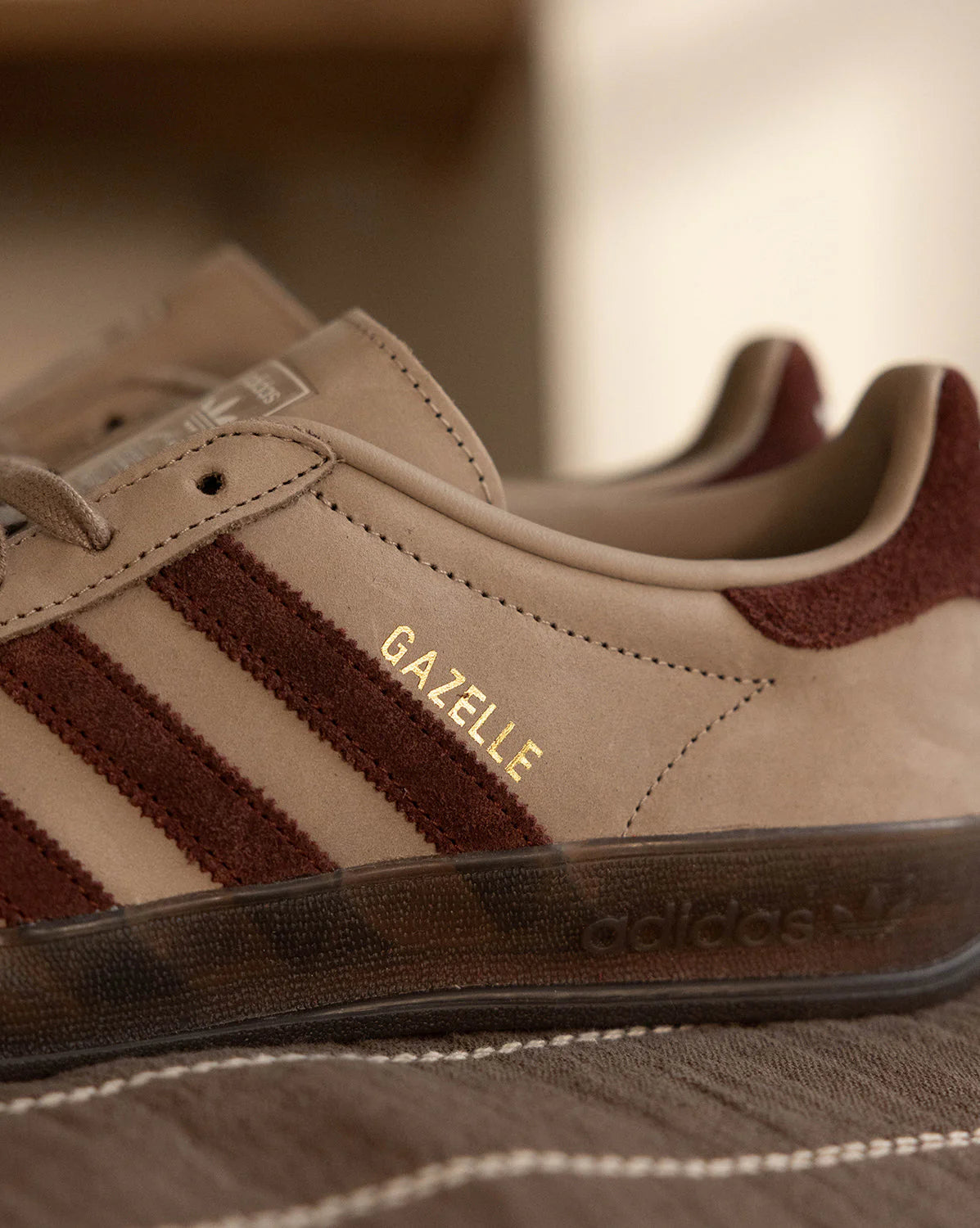 Gazelle Indoor