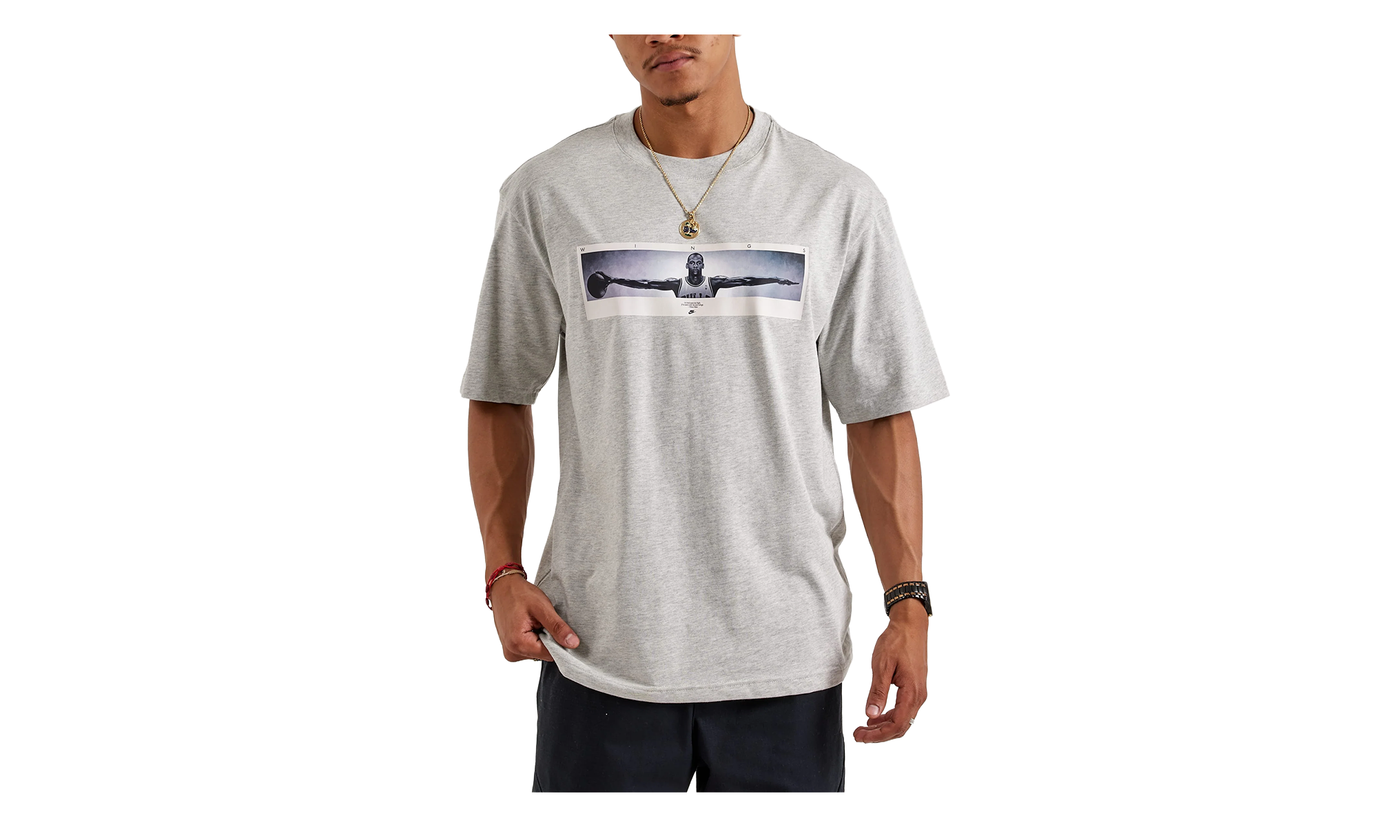 Wingspan Photo T-Shirt "Grey" IF5617 050