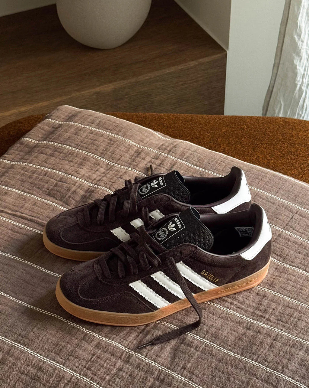 Gazelle Indoor