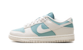 Dunk Low WMNS"Cannon" IM6572 001