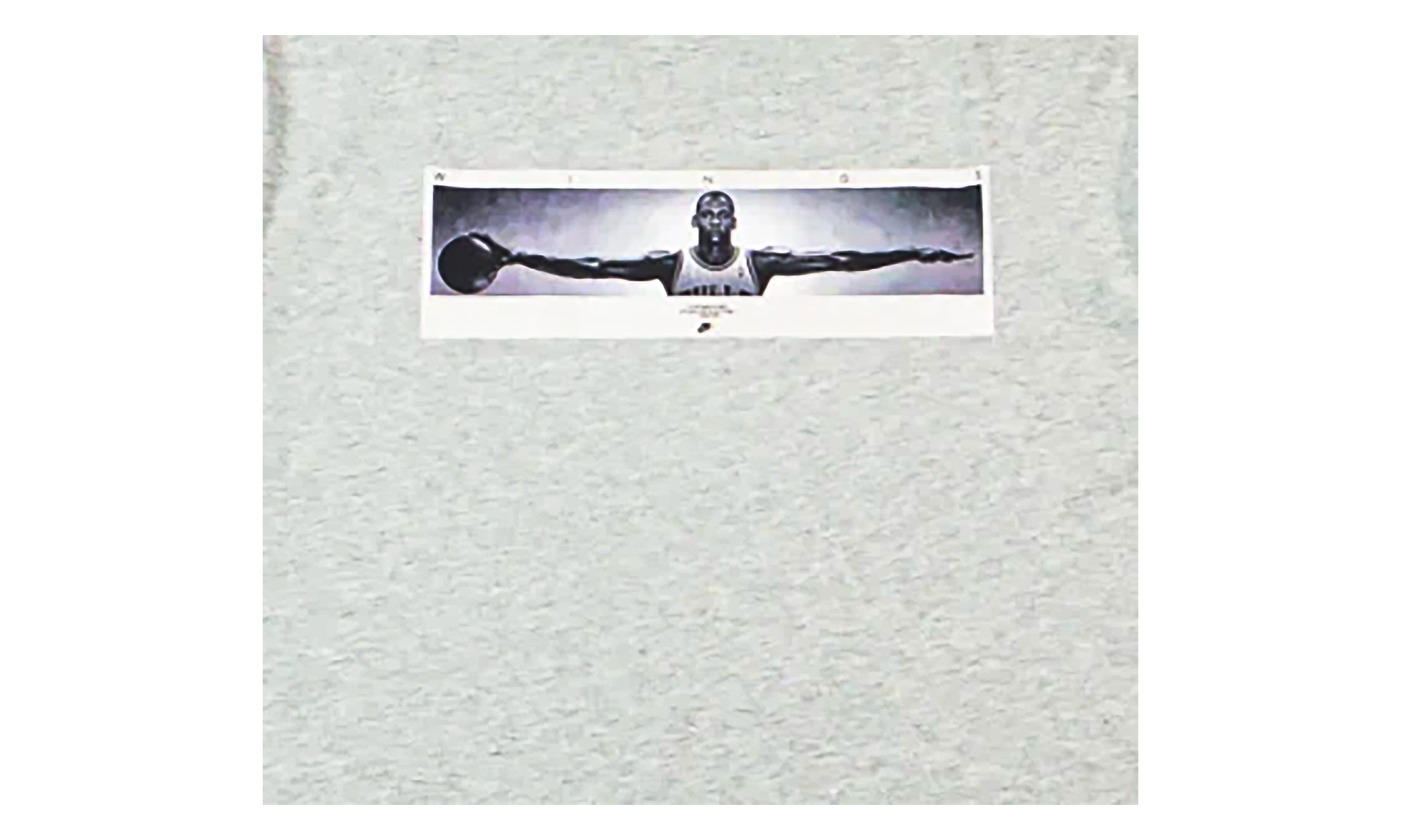 Wingspan Photo T-Shirt "Grey" IF5617 050